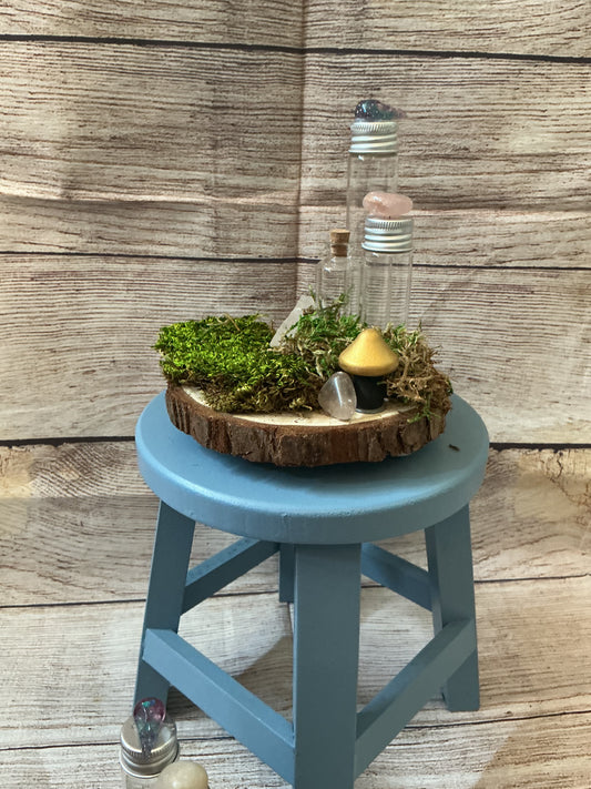 Woodland Propagation Station