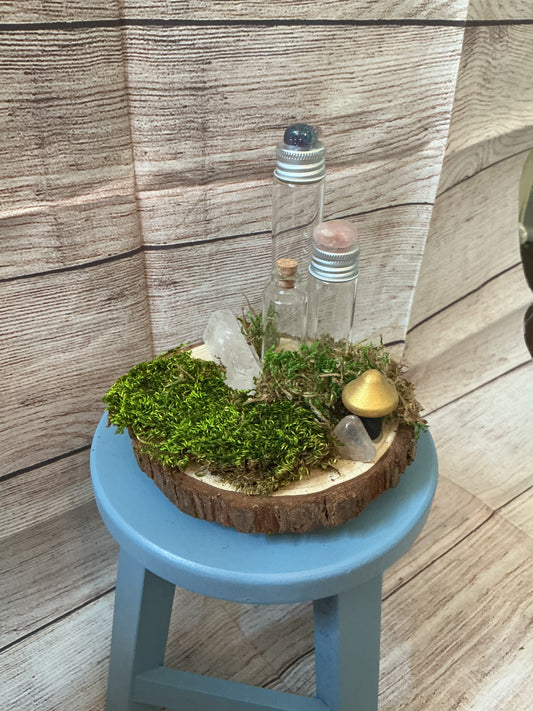 Woodland Propagation Station