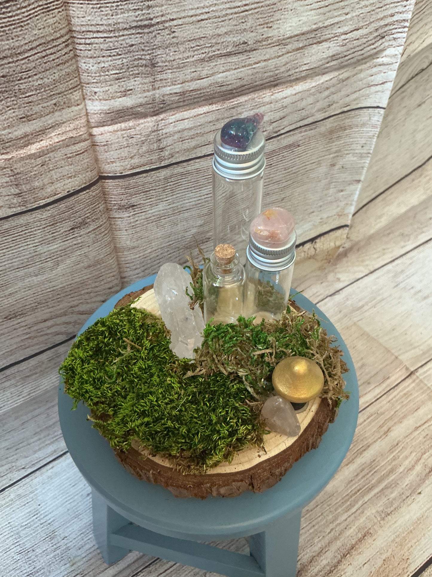 Woodland Propagation Station