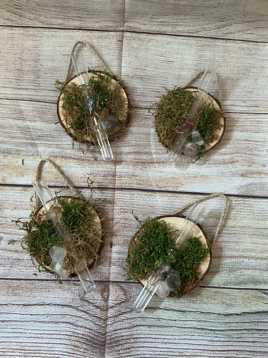 Hanging Wooden Propagation Station