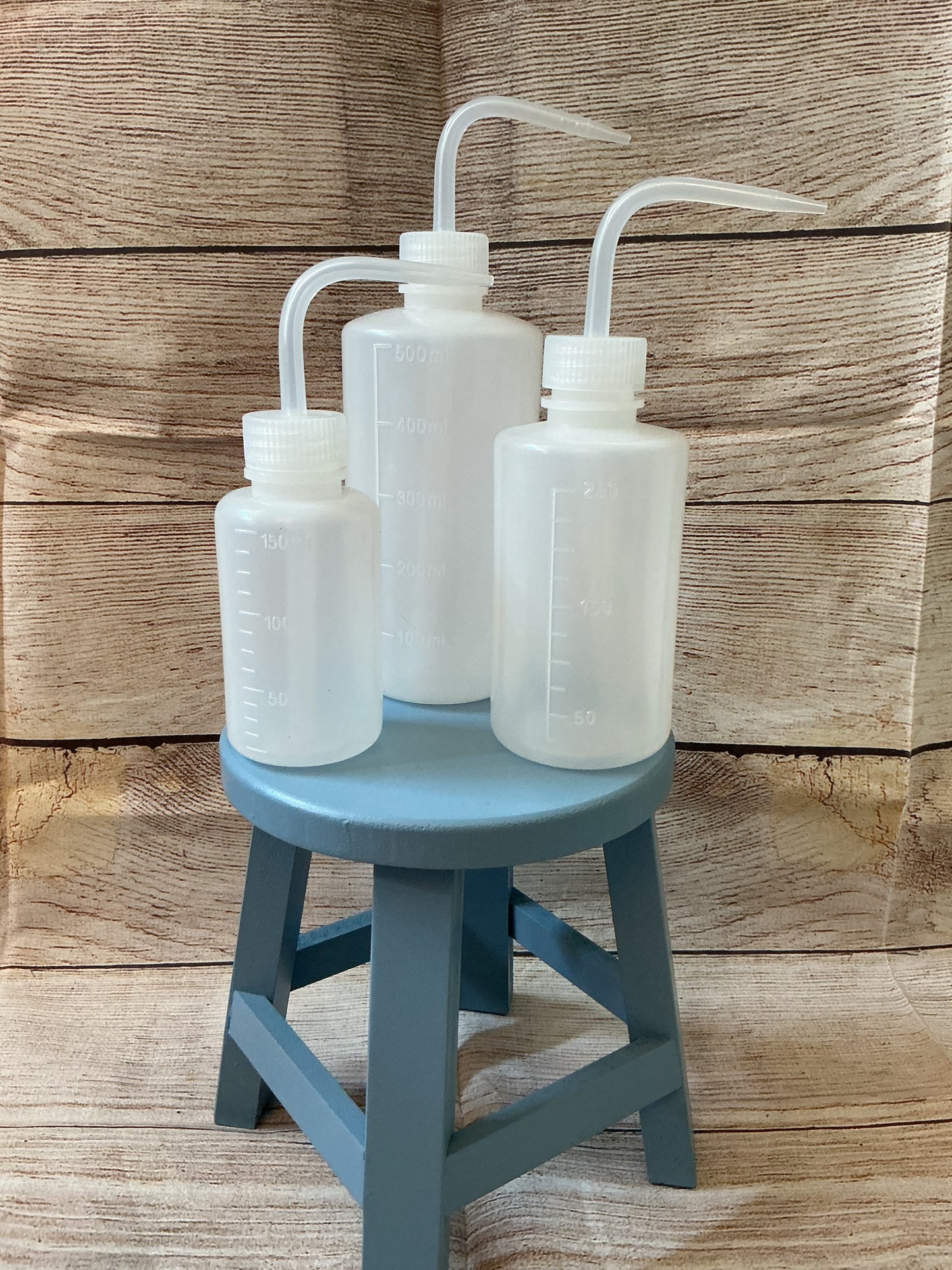 Succulent Water Bottles
