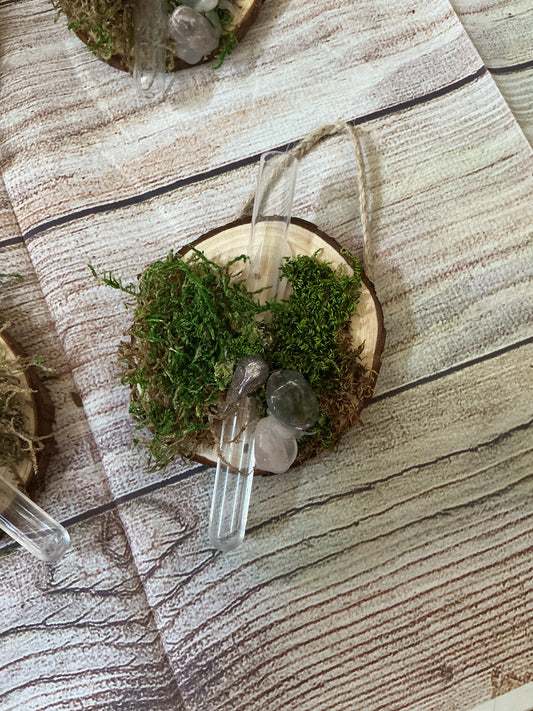 Hanging Wooden Propagation Station